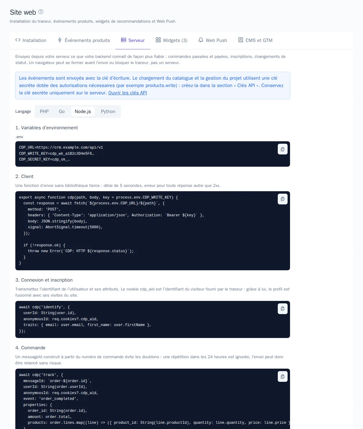 Onglet « Serveur » avec des exemples en Node.js