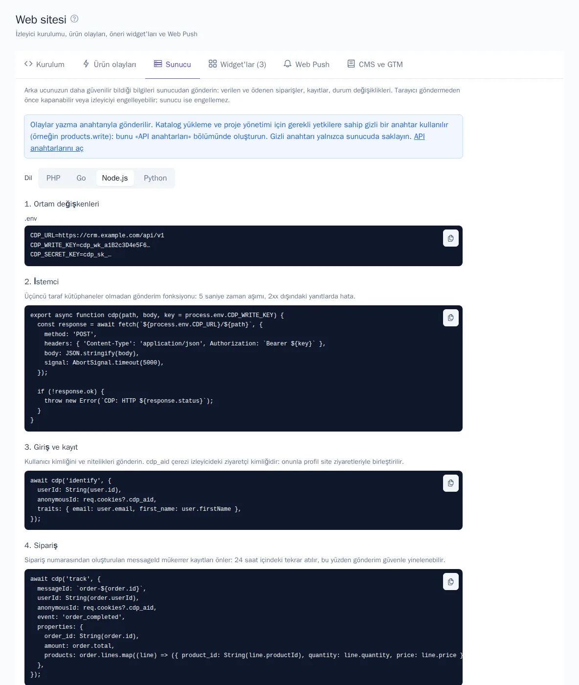 Node.js örnekleriyle “Sunucu” sekmesi